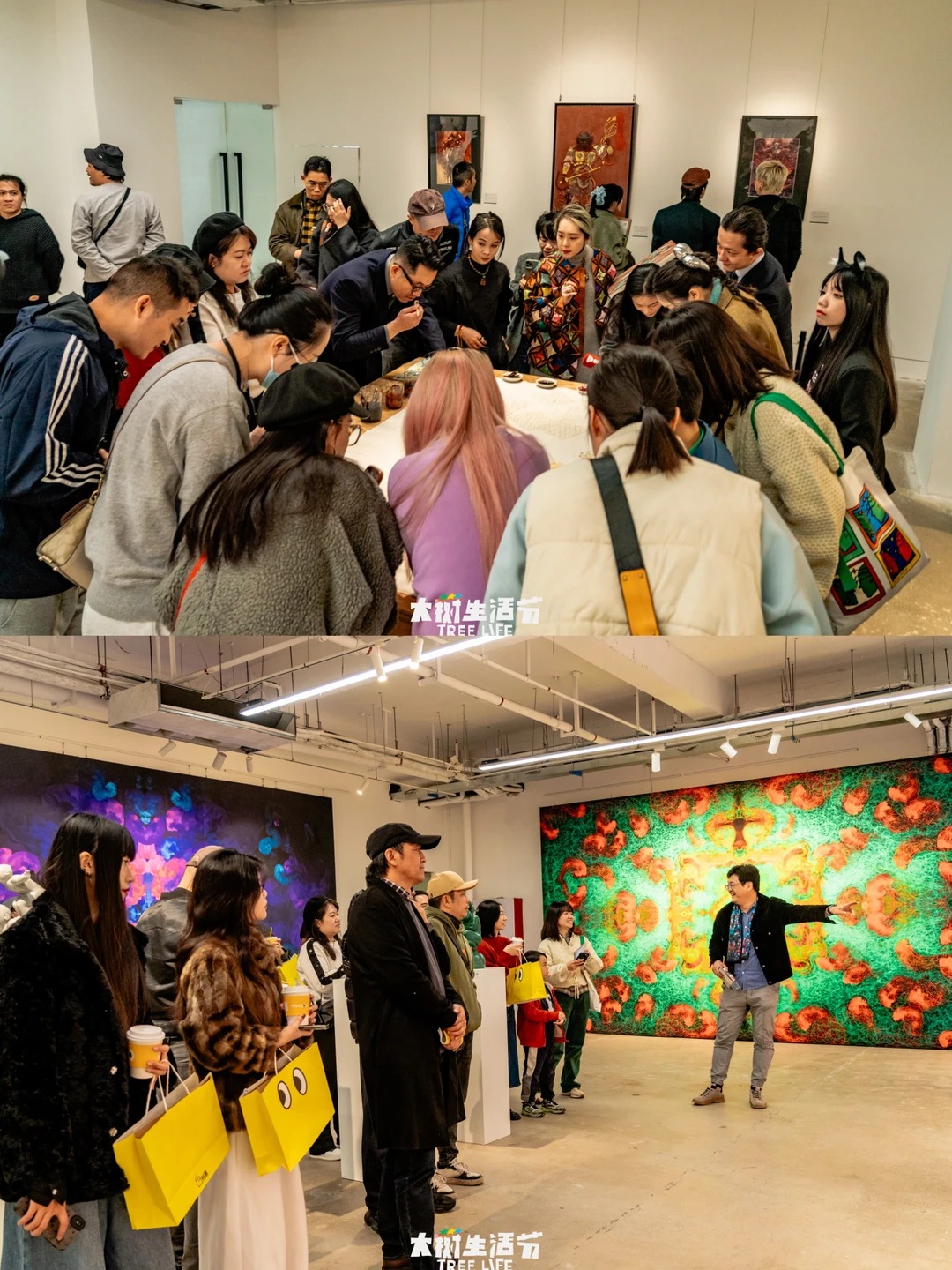 大树生活节展览导览现场