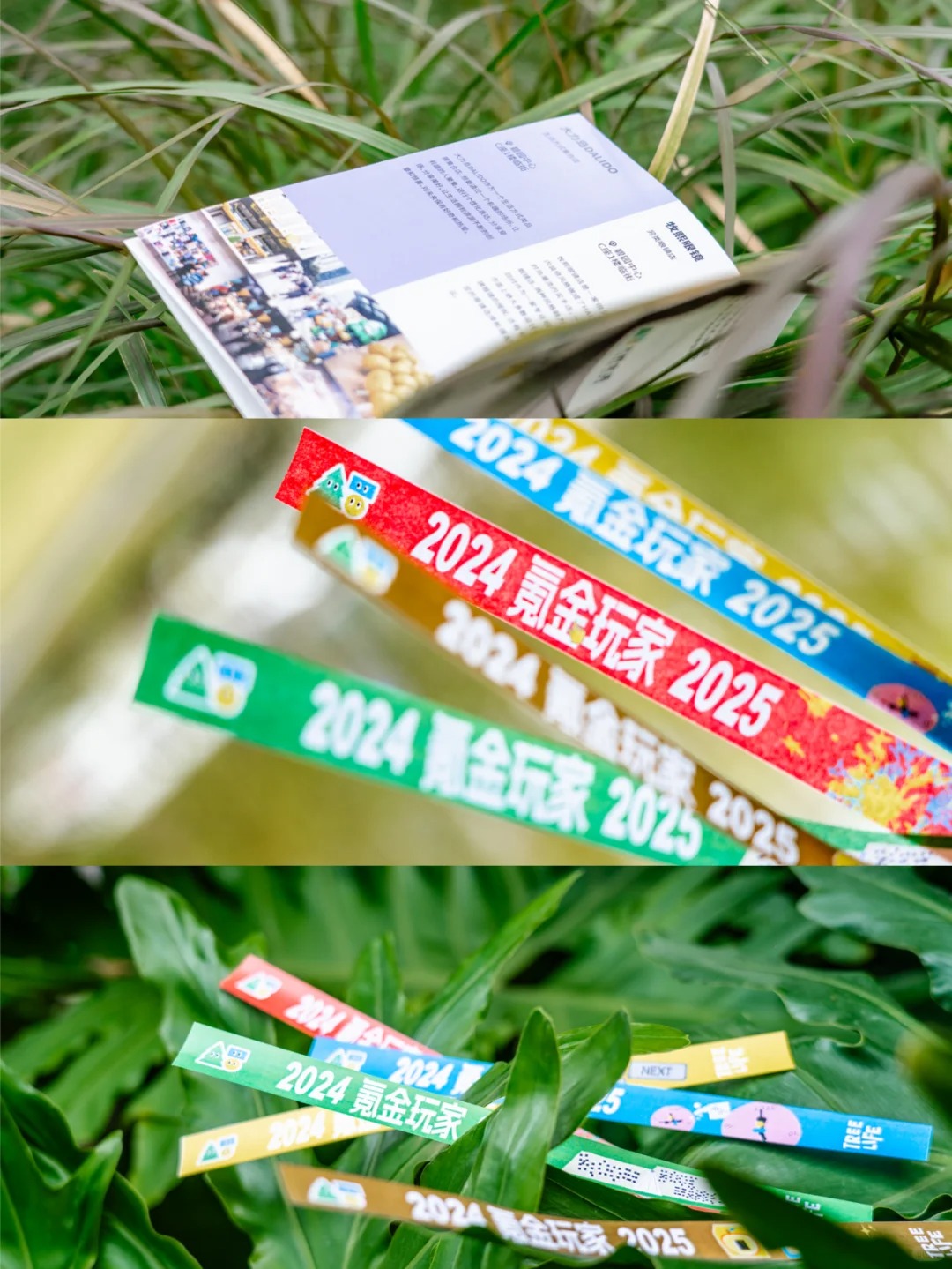 大树生活节游戏券与玩家手册