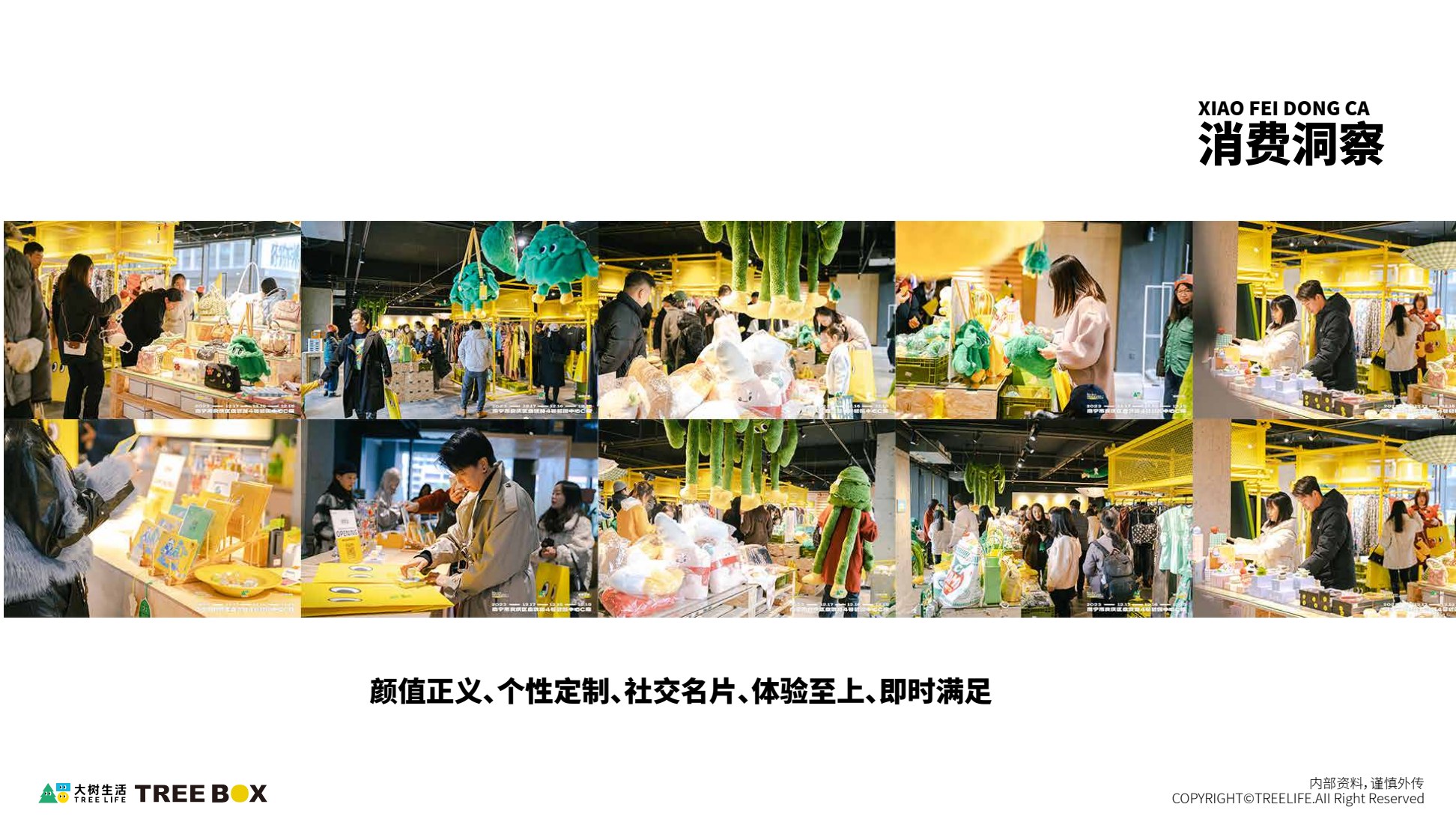 大树乐园品牌活动页面
