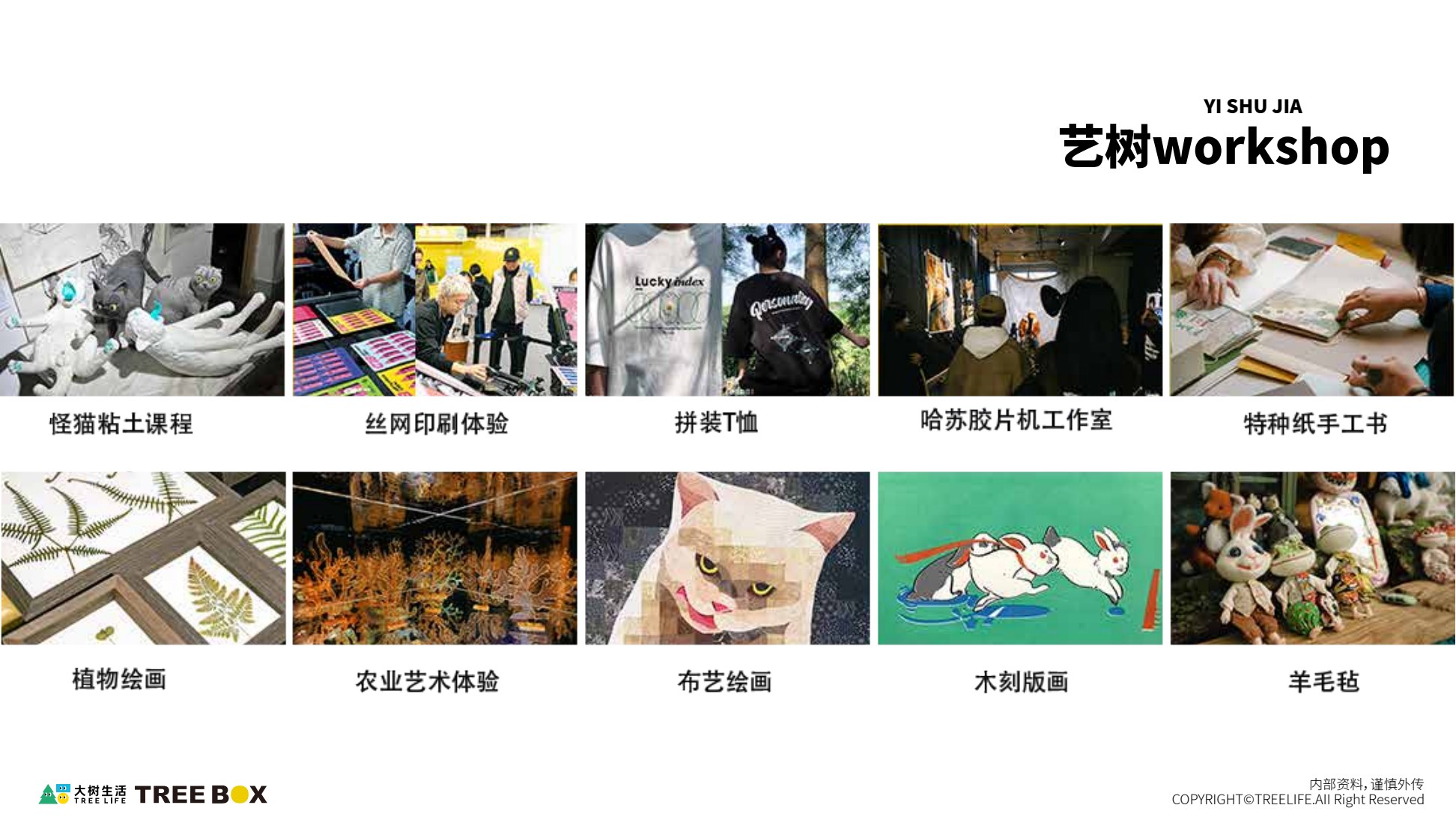 大树乐园艺术workshop页面