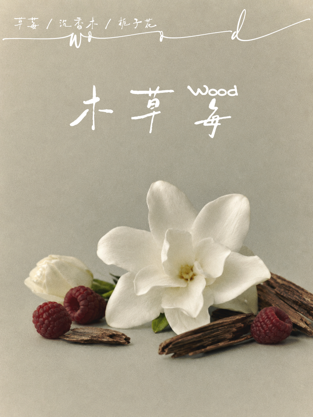 半盏煮雨木草莓风味海报