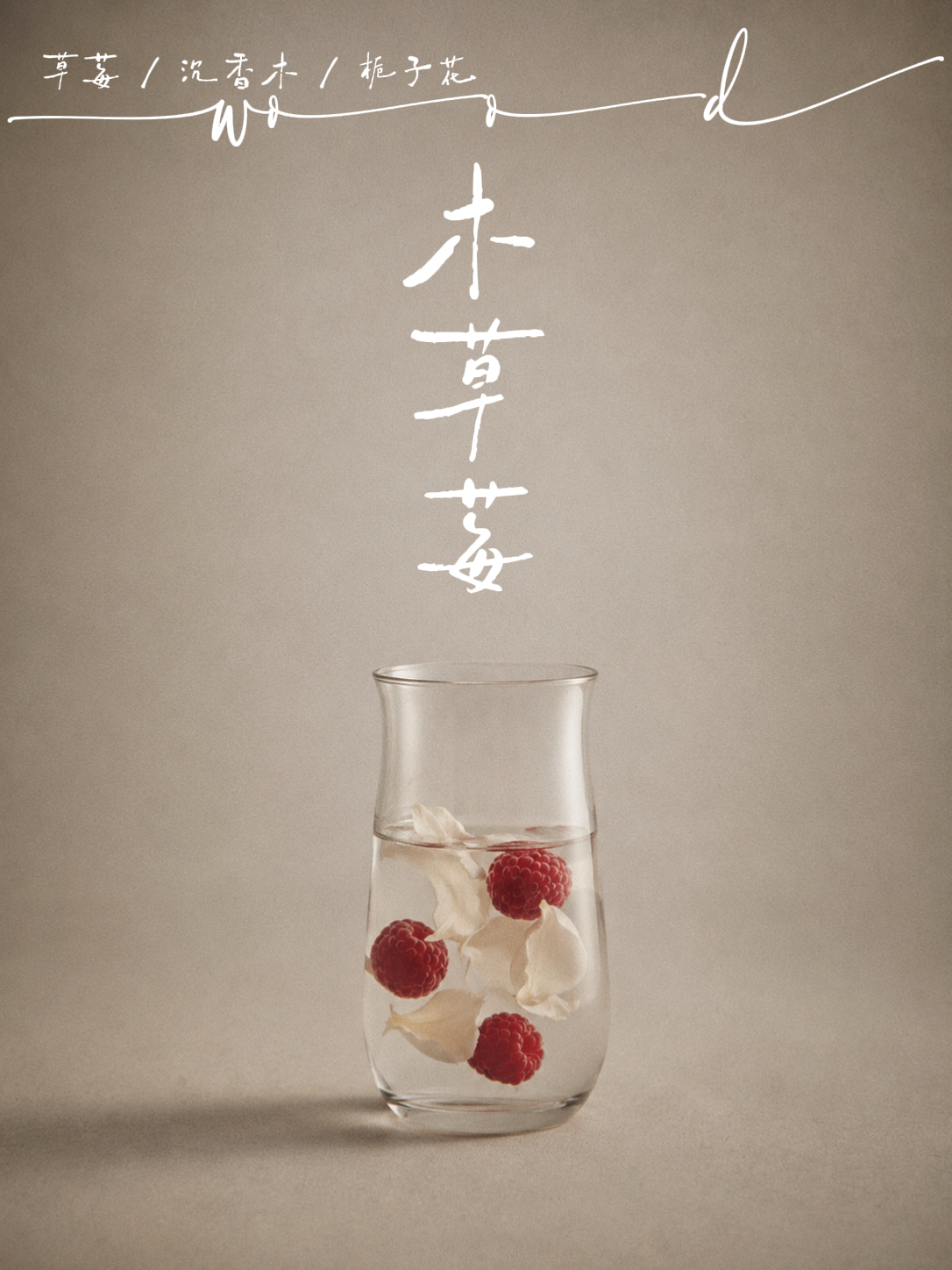 半盏煮雨木草莓风味水杯海报