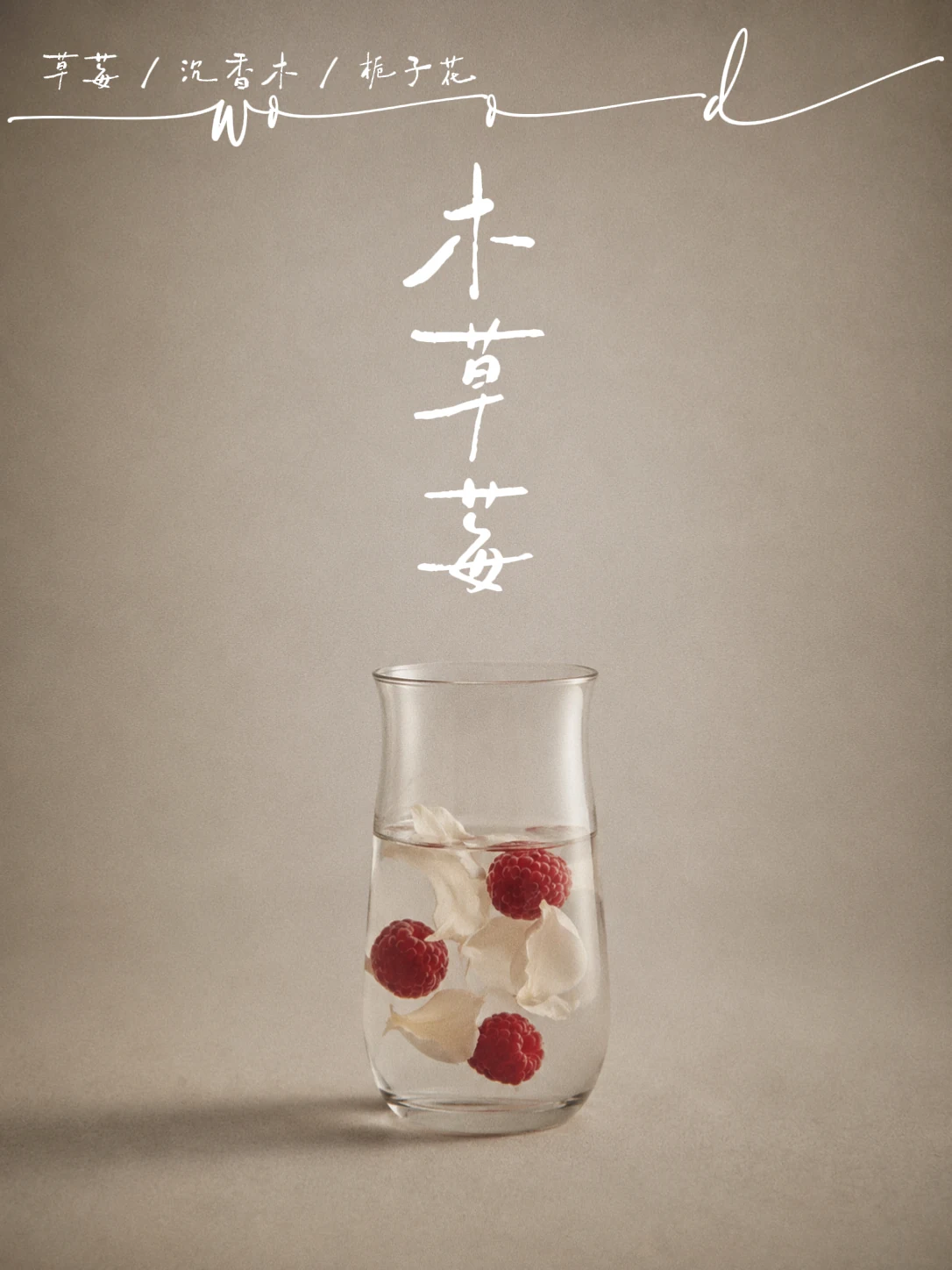 木草莓产品概念中的果实与杯体